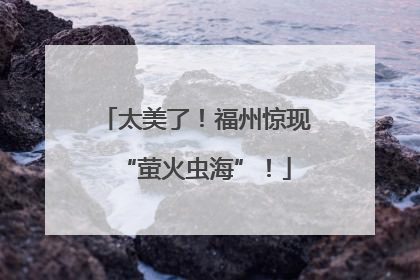 太美了！福州惊现“萤火虫海”！
