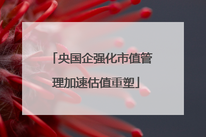 央国企强化市值管理加速估值重塑