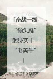 奋战一线“领头雁” 躬身实干“老黄牛”