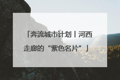 奔流城市计划丨河西走廊的“紫色名片”