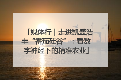 媒体行｜走进凯盛浩丰“番茄硅谷”：看数字神经下的精准农业