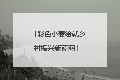 彩色小麦绘就乡村振兴新蓝图