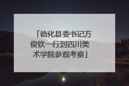 德化县委书记方俊钦一行到四川美术学院参观考察