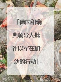 德国和瑞典领导人批评以军在加沙的行动
