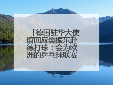 德国驻华大使馆回应樊振东赴德打球：会为欧洲的乒乓球联赛带来新的光彩