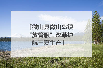 微山县微山岛镇“放管服”改革护航三夏生产