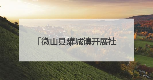 微山县驩城镇开展社保换卡进社区活动