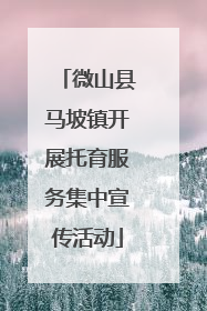 微山县马坡镇开展托育服务集中宣传活动
