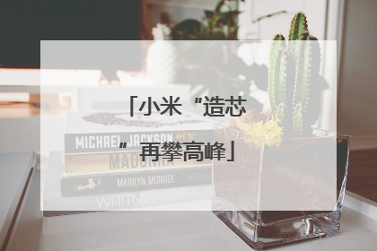 小米“造芯”再攀高峰