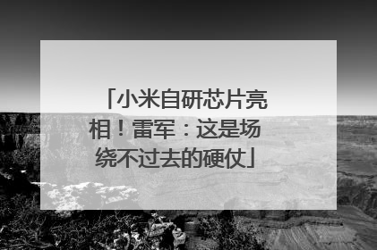 小米自研芯片亮相！雷军：这是场绕不过去的硬仗