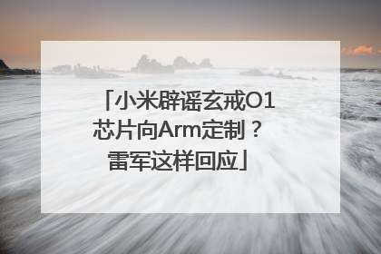 小米辟谣玄戒O1芯片向Arm定制？雷军这样回应