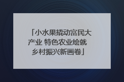 小水果撬动富民大产业 特色农业绘就乡村振兴新画卷