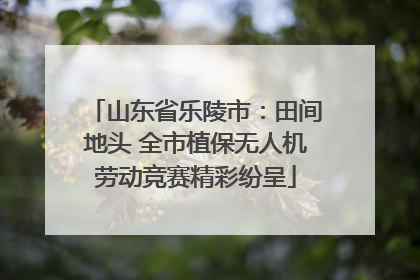 山东省乐陵市：田间地头 全市植保无人机劳动竞赛精彩纷呈