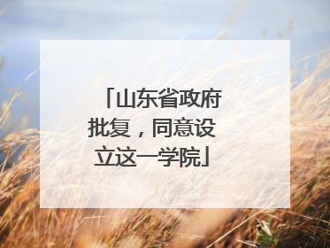 山东省政府批复，同意设立这一学院