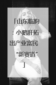 山东临朐：小鹅肝拓出产业富民“新赛道”