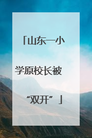 山东一小学原校长被“双开”