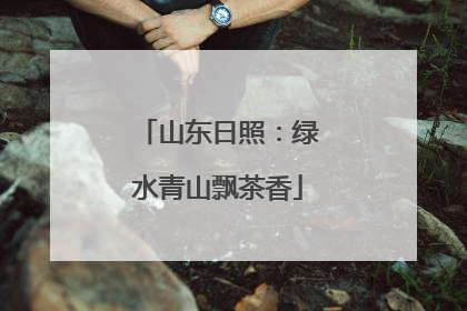 山东日照：绿水青山飘茶香