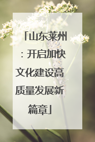 山东莱州：开启加快文化建设高质量发展新篇章