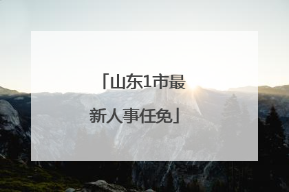 山东1市最新人事任免