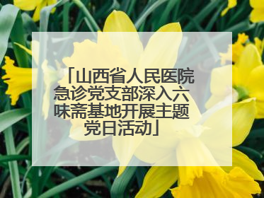 山西省人民医院急诊党支部深入六味斋基地开展主题党日活动