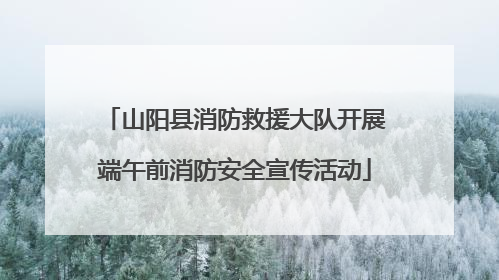 山阳县消防救援大队开展端午前消防安全宣传活动