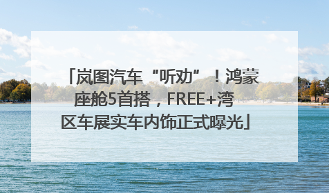 岚图汽车“听劝”！鸿蒙座舱5首搭，FREE+湾区车展实车内饰正式曝光