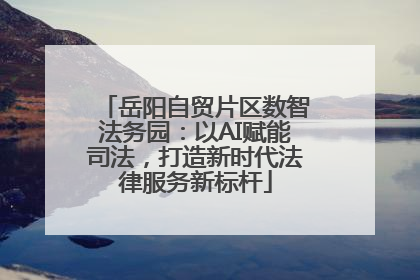 岳阳自贸片区数智法务园：以AI赋能司法，打造新时代法律服务新标杆