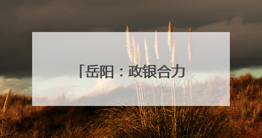 岳阳：政银合力注入百亿金融活水 乡镇商会建设开启“四新篇章”
