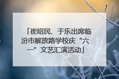 崔绍民、于乐出席临汾市解放路学校庆“六一”文艺汇演活动