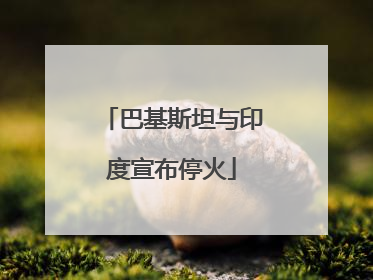 巴基斯坦与印度宣布停火