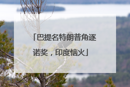 巴提名特朗普角逐诺奖，印度恼火