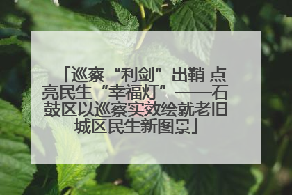 巡察“利剑”出鞘 点亮民生“幸福灯”——石鼓区以巡察实效绘就老旧城区民生新图景