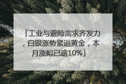 工业与避险需求齐发力，白银涨势紧逼黄金，本月涨幅已逾10%