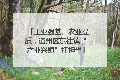 工业强基、农业提质，通州区东社镇“产业兴镇”扛担当
