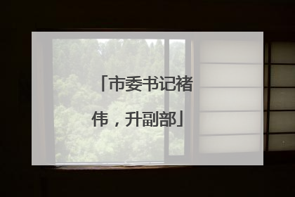 市委书记褚伟，升副部
