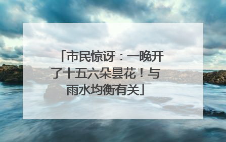 市民惊讶：一晚开了十五六朵昙花！与雨水均衡有关