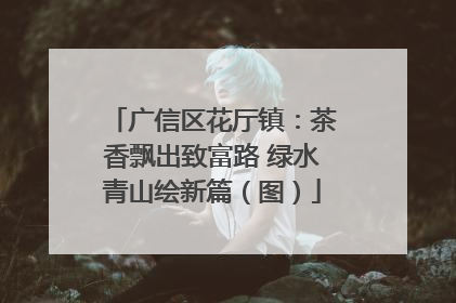 广信区花厅镇：茶香飘出致富路 绿水青山绘新篇（图）