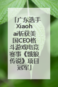 广东选手Xiaohai斩获美国CEO格斗游戏电竞赛事《饿狼传说》项目冠军