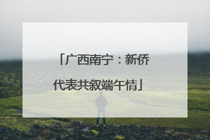 广西南宁：新侨代表共叙端午情