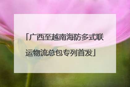 广西至越南海防多式联运物流总包专列首发