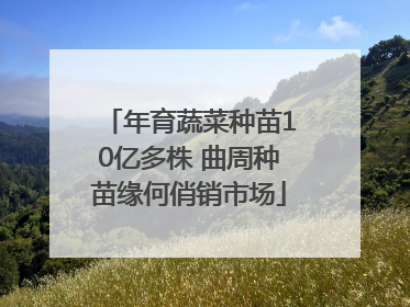 年育蔬菜种苗10亿多株 曲周种苗缘何俏销市场