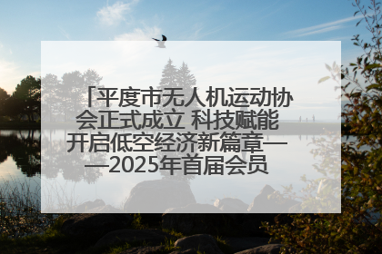平度市无人机运动协会正式成立 科技赋能开启低空经济新篇章——2025年首届会员大会暨无人机应用发展论坛成功举办