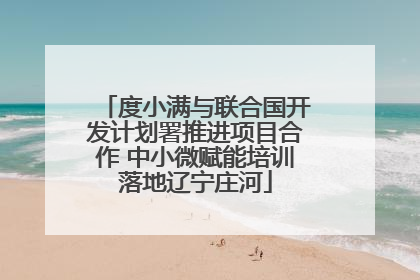 度小满与联合国开发计划署推进项目合作 中小微赋能培训落地辽宁庄河