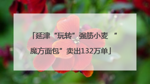 延津“玩转”强筋小麦 “魔方面包”卖出132万单