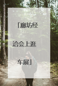 廊坊经洽会上逛车展