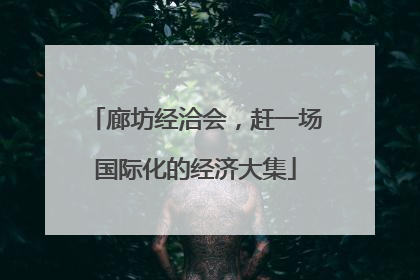 廊坊经洽会，赶一场国际化的经济大集
