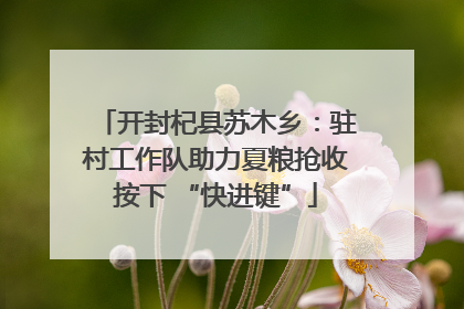 开封杞县苏木乡：驻村工作队助力夏粮抢收按下 “快进键”