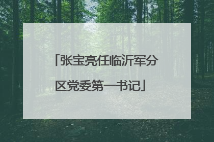张宝亮任临沂军分区党委第一书记