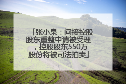 张小泉：间接控股股东重整申请被受理，控股股东550万股份将被司法拍卖