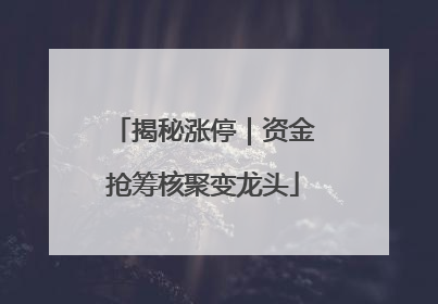 揭秘涨停｜资金抢筹核聚变龙头